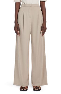 Max Mara Leisure Bonn Wide Leg Jersey Pants in Turtledove 