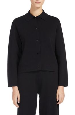 Max Mara Leisure Kiota Collared Cardigan in Black 