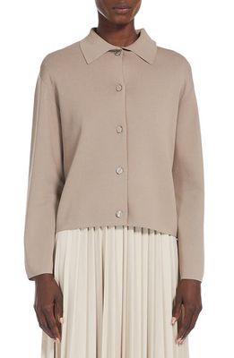 Max Mara Leisure Kiota Collared Cardigan in Turtledove 