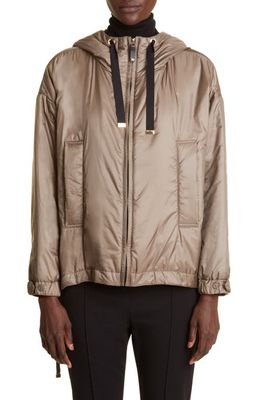 Max Mara The Cube Technical Canvas Hooded Jacket in Sage Green
