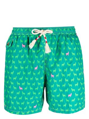 MC2 Saint Barth alpaca-print swim shorts - Green
