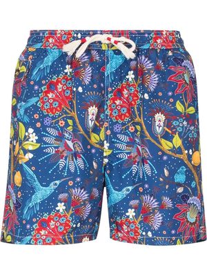 MC2 Saint Barth Indian Birds 61 swim shorts - Blue