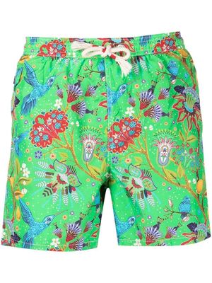 MC2 Saint Barth Indian Birds-print swim shorts - Green