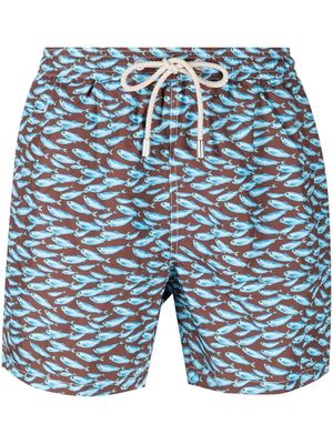 MC2 Saint Barth sardine-print swim shorts - Blue