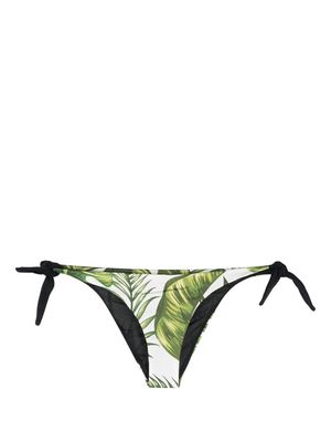 MC2 Saint Barth Tropical-print bikini bottoms - Green