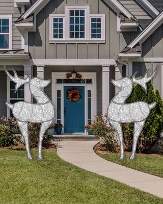 Medium 2D Deer with Clear White LED Lights