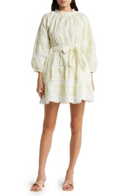 MELLODAY Floral Long Sleeve A-Line Dress in Ivory/Yellow