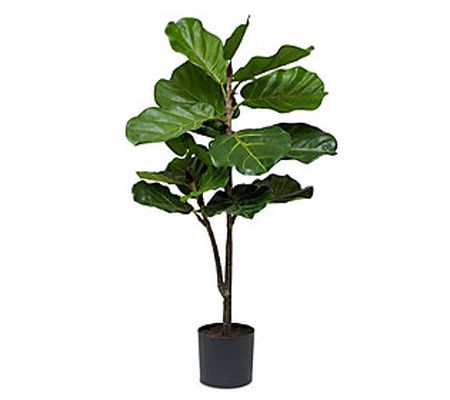 Melrose Fiddle Leaf Fig Tree in Black Pot 40"H