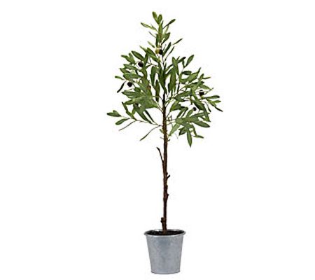 Melrose Olive Tree Plant in Tin Pot 31.5"