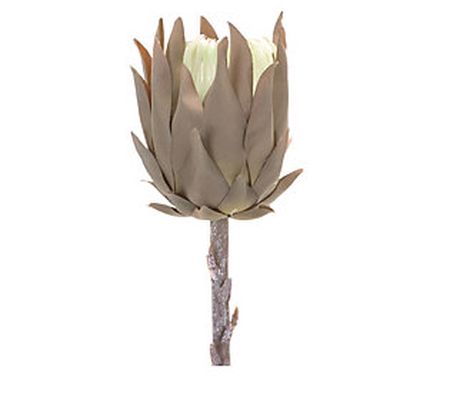 Melrose Protea Floral Stem 20"H