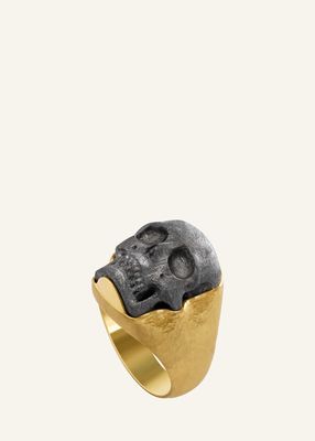 Men's 14K Gold Muonionalusta Meteorite Skull Ring