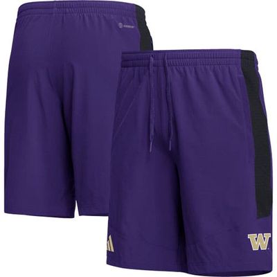 Men's adidas Purple Washington Huskies AEROREADY Shorts