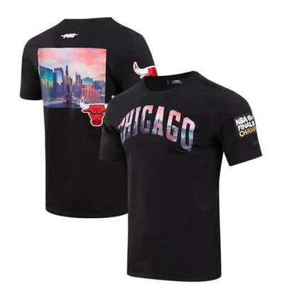 Men's Pro Standard Black Chicago Bulls City Scape T-Shirt