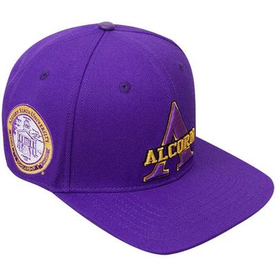 Men's Pro Standard Purple Alcorn State Braves Evergreen Primary Logo Snapback Hat