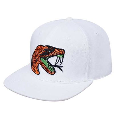 Men's Pro Standard White Florida A & M Rattlers Mascot Evergreen Wool Snapback Hat