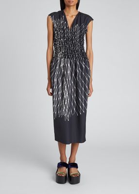 Mesh-Print Chintz Poplin Midi Dress