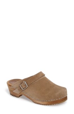 MIA 'Alma' Clog in Taupe Suede