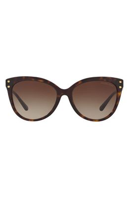 Michael Kors 55mm Gradient Cat Eye Sunglasses in Dark Tortoise