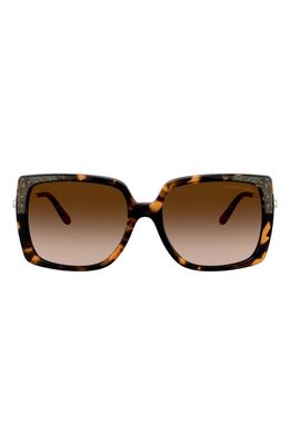 Michael Kors 56mm Gradient Square Sunglasses in Dark Havana