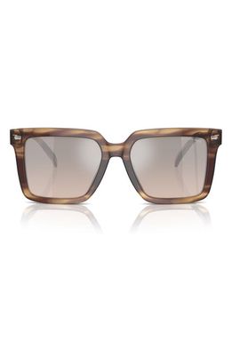 Michael Kors Abruzzo 55mm Square Sunglasses in Brown Horn 