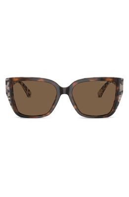 Michael Kors Acadia 55mm Rectangular Sunglasses in Brown