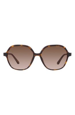 Michael Kors Bali 58mm Gradient Oval Sunglasses in Dark Tort