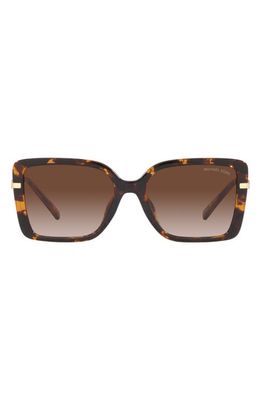 Michael Kors Castellina 55mm Gradient Square Sunglasses in Dk Tort