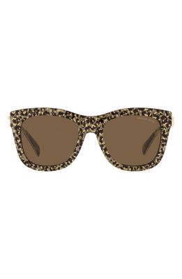 Michael Kors Empire 52mm Square Sunglasses in Brown