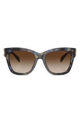 Michael Kors Empire 55mm Gradient Cat Eye Sunglasses in Brown Grad