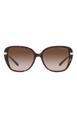 Michael Kors Flatiron 56mm Gradient Square Sunglasses in Dk Tort