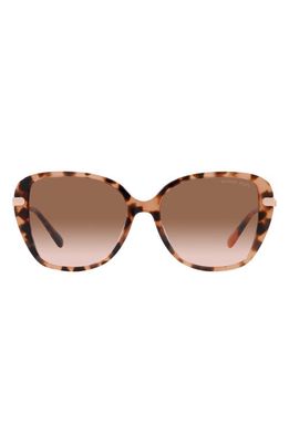 Michael Kors Flatiron 56mm Gradient Square Sunglasses in Pink Tortoise