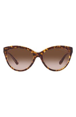 Michael Kors Makena 55mm Gradient Cat Eye Sunglasses in Dark Tort
