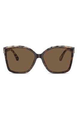 Michael Kors Malia 58mm Square Sunglasses in Brown