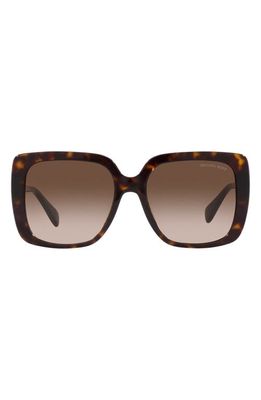 Michael Kors Mallorca 55mm Gradient Square Sunglasses in Dk Tort