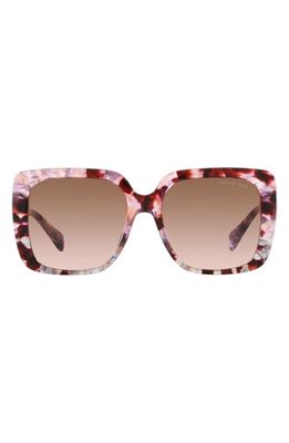 Michael Kors Mallorca 55mm Gradient Square Sunglasses in Pink Tortoise