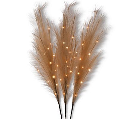 Mid Century Modern Brown Boho Lights Pampas Grass by Gerson Co