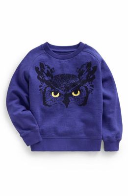 Mini Boden Kids' Owl Cotton Graphic Sweatshirt in Robot Blue Owl