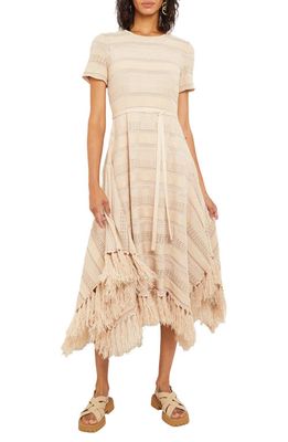 Misook Fringe Trim Pointelle Knit Dress in Biscotti