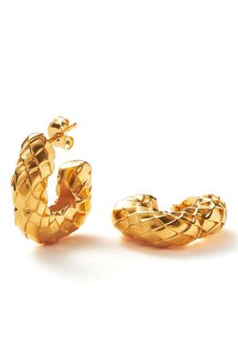 Missoma Chubby Snake Hoop Earrings in Gold