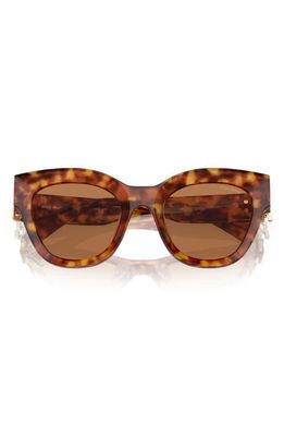 Miu Miu 51mm Butterfly Sunglasses in Lite Havana