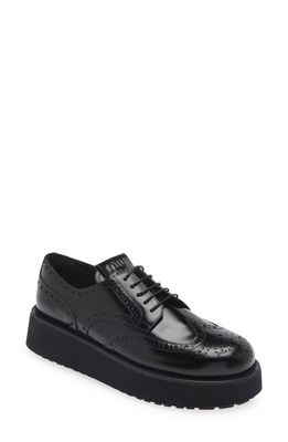 Miu Miu Wingtip Platform Oxford in Black