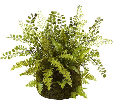 Mixed Fern with Twig and Moss Basket by Nearly atural