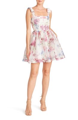 ML Monique Lhuillier Floral Lace Fit & Flare Minidress in Peony Dream
