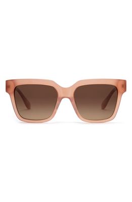 Mohala Eyewear Hana 55mm Medium Nose Bridge Width Width Gradient Polarized Square Sunglasses in Pink Papaya