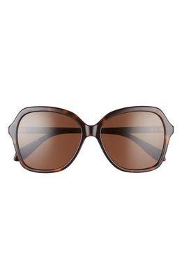 Mohala Eyewear Hiilawe Low Bridge Medium Width 56mm Polarized Oversized Sunglasses in Kukui Tortoise