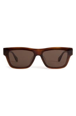 Mohala Eyewear Keahi 65mm Low Nose Bridge Wide Width Oversized Square Sunglasses in Affogato