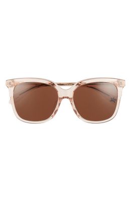 Mohala Eyewear Keana 54mm Low Bridge Medium Width Polarized Square Sunglasses in Guava Mimosa