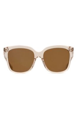 Mohala Eyewear Keana 55mm Medium Bridge Wide Width Polarized Square Sunglasses in Lychee Soda