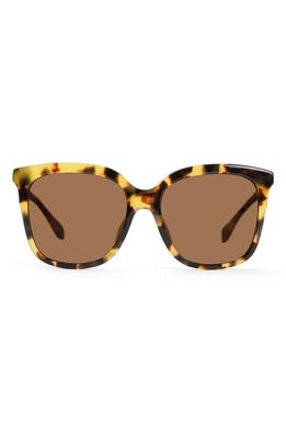 Mohala Eyewear Keana Low Bridge Medium Width 54mm Polarized Square Sunglasses in Lilikoi Tortoise