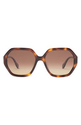 Mohala Eyewear Noela Low Bridge Wide Width 58mm Polarized Oversized Sunglasses in Tiger Eye Tortoise